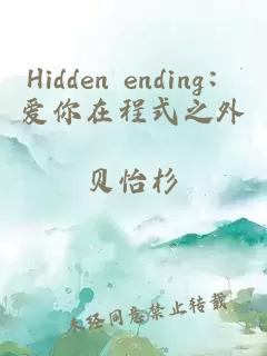 Hidden ending：愛(ài)你在程式之外