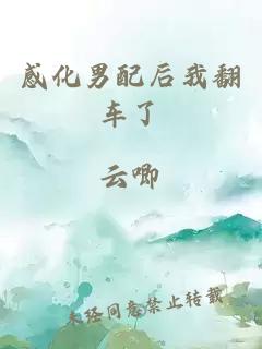 感化男配后我翻車(chē)了