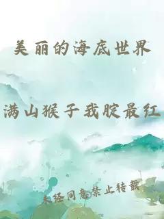 美麗的海底世界