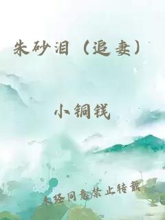 朱砂淚（追妻）
