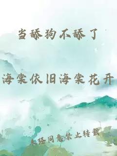 當舔狗不舔了