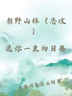 朝野山林（總攻）