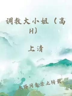 調教大小姐（高H）