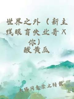 世界之外（新主線(xiàn)眼盲失業(yè)哥ⅹ你）