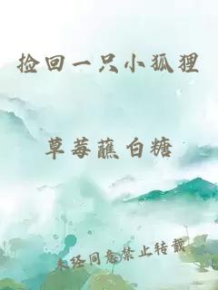 撿回一只小狐貍
