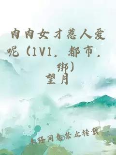 四象之王