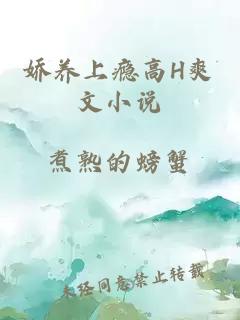 嬌養上癮高H爽文小說(shuō)