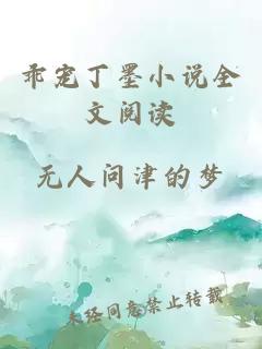 乖寵丁墨小說(shuō)全文閱讀