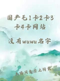 國產(chǎn)毛1卡2卡3卡4卡網(wǎng)站