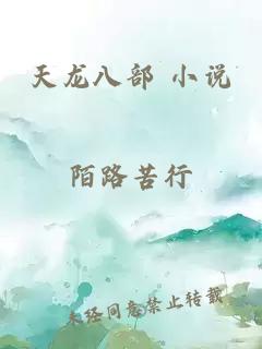 天龍八部 小說(shuō)