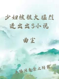 少婦被粗大猛烈進(jìn)出出S小說(shuō)