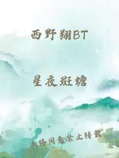 西野翔BT