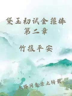 黛玉初試金箍棒第二章