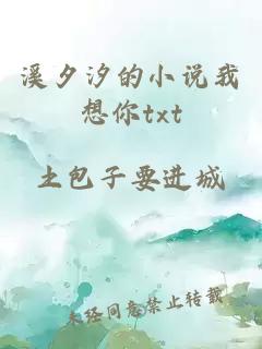 溪夕汐的小說(shuō)我想你txt