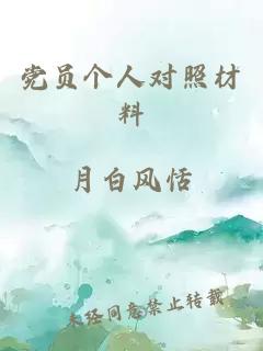 黨員個(gè)人對照材料