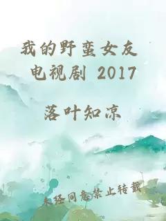 我的野蠻女友 電視劇 2017