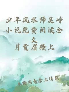 少年風(fēng)水師吳崢小說(shuō)免費閱讀全文