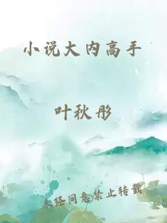 小說(shuō)大內高手