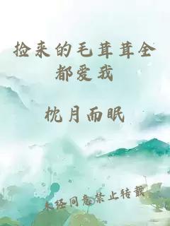撿來(lái)的毛茸茸全都愛(ài)我