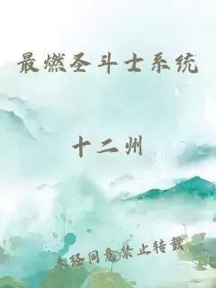 最燃圣斗士系統