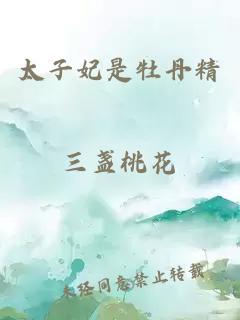 嬌妻不下堂