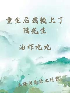 重生后我賴(lài)上了陸先生
