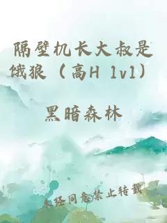 隔壁機長(cháng)大叔是餓狼（高H 1v1）