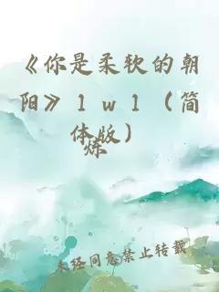 《你是柔軟的朝陽(yáng)》１ｖ１（簡(jiǎn)體版）
