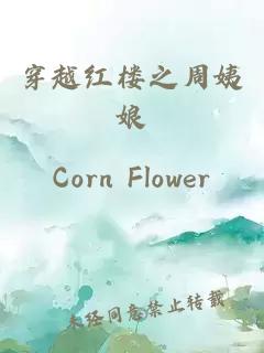 穿越紅樓之周姨娘