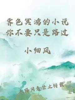 霽色冥鴻的小說(shuō)你不要只是路過(guò)