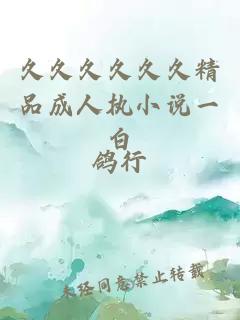 久久久久久久精品成人執小說(shuō)一白