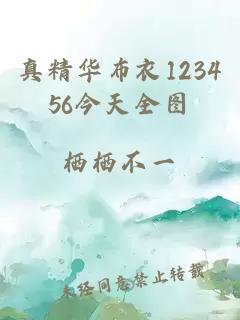 真精華布衣123456今天全圖