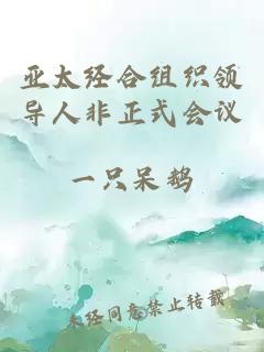 亞太經(jīng)合組織領(lǐng)導人非正式會(huì )議