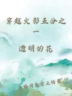 穿越火影五分之一