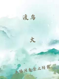 重生2006