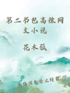 第二書(shū)包高辣網(wǎng)文小說(shuō)