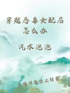 穿越惡毒女配后怎么辦