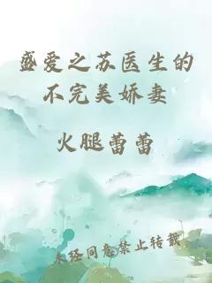盛愛(ài)之蘇醫生的不完美嬌妻