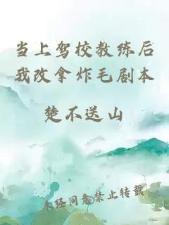 當上駕校教練后我改拿炸毛劇本