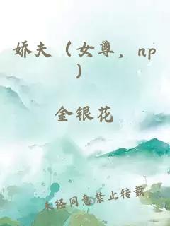 嬌夫（女尊，np）