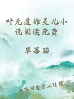 葉無(wú)道徐靈兒小說(shuō)閱讀免費