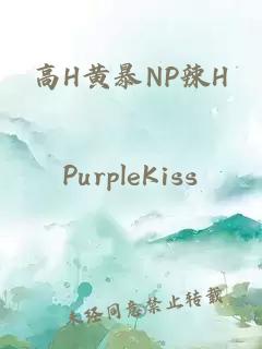 高H黃暴NP辣H
