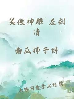 笑傲神雕 左劍清