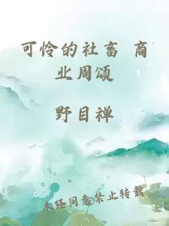 可憐的社畜 商業(yè)周頌