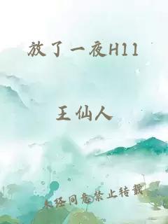 放了一夜H11