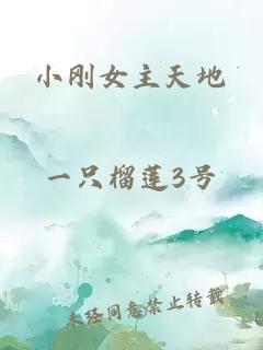 小剛女主天地