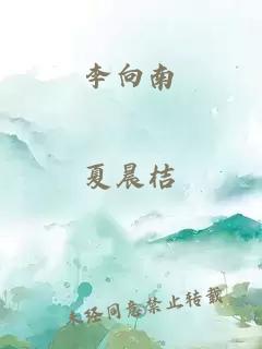 李向南