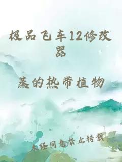 極品飛車(chē)12修改器