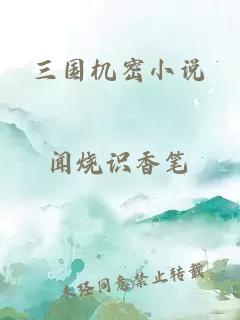 三國機密小說(shuō)