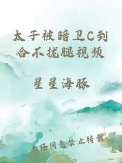 太子被暗衛C到合不攏腿視頻